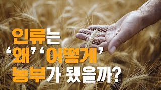 인류는 왜 어떻게 농부가 됐을까? - 기후 대재앙을 극복한 인류 최초의 농경 정착촌 ‘아부 후레이라’