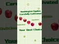 【30秒主視覺廣告】華盛頓蘋果 全種類蘋果 washington apples shorts