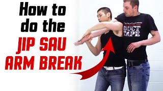 The BEST of Wing Chun - How to do the Jip Sau Arm Break