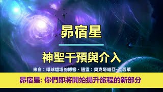 通靈信息【昴宿星】神聖干預與介入；「昴宿星人說：我們今天帶著鼓勵和快樂的信息來到你們身邊，因為你們即將開始揚升旅程的新部分。」