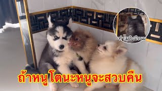 ข้าวคั่วเดินไปตบหน้าเค้าแย่งขนมเลยโดนสวบสุดท้ายไม่ได้กินทั้งคู่