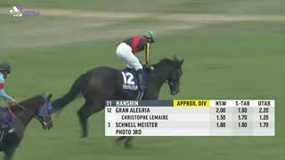 2021 The Mile Championship 1600M - Hanshin (JPN) - Gran Alegria (G1)