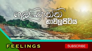 Galpoththa  | Nawlapitiya  - ගල්පොත්ත | නාවලපිටිය