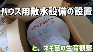 ハウス内散水設備の重要性とは？ビニールハウス用散水設備の取り付けとネギ苗の生育観察。