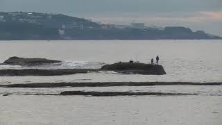 沖磯と地磯の違い説明。沖磯は船で渡り、地磯は陸続きなので歩いて行きます。海釣り初級入門、基礎知識編。