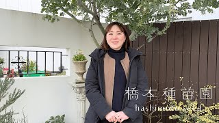 【シンボルツリーとしても大人気】ミモザの魅力♡