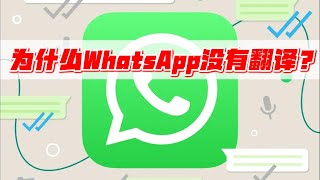 为什么WhatsApp没有翻译？#whatsapp #whatsapp使用指南 #WhatsApp翻译功能 #whatsapp推广