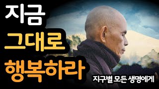 지금 그대로 행복하라  / 지구별 모든 생명에게