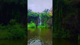 അയ്യപ്പനോവ് വെള്ളച്ചാട്ടം #athavanad #valanchery #waterfall #viralvideo #shortvideo #shorts #travel