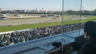 2023/12/23 中山競馬10R 中山大障害をUMACAシートから