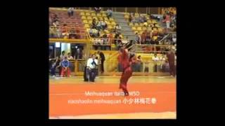 Meihuaquan Italia -  Xiaoshaolin meihuaquan 小少林梅花拳