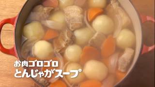 味の素コンソメとんじゃがスープTVCM