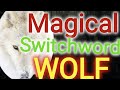 switchword/Manifest Anything- Remove Obstacles-Attract Magic-Wolf Magic Begin Now(law of attraction)