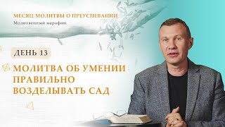 День 13. Молитва об умении правильно возделывать сад – Месяц молитвы о преуспевании