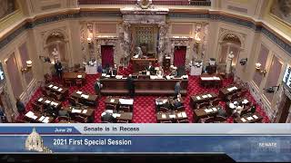 Senate Debates Judiciary and Public Safety Bill