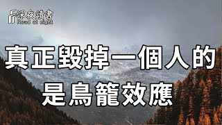 「鳥籠效應」就在你身邊！他足以毀掉你的人生，你一定要遠離【深夜讀書】