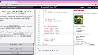Learn Basic CSS Add Rounded Corners with border radius freeCodeCamp