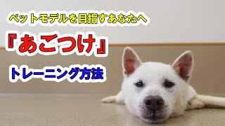 【解説】あごつけのトレーニング方法