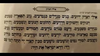 Eilei Hatzedek - Bobov - ניגוני באבוב - אילי הצדק ידועים