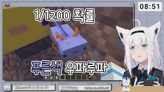 홀로서버에 태어난 극악의 확률인 푸른색 우파루파【홀로라이브 / 시라카미 후부키】