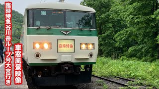 臨時特急谷川岳ループ号大宮行き国鉄185系越後湯沢〜大宮 車窓風景映像