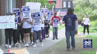 Springfield teachers on strike, call for improvements