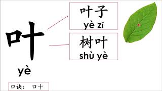 一年级华文 第十单元 二、叶子鸟（识字、朗读篇）