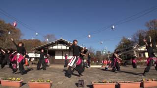 日本昭和村「年忘れ鳴子」２０１６　【桜愛】③　神剛