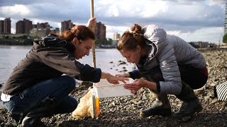 Conserving the Thames - Citizen Science