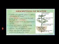 water absorption part ii sybsc plant physiology