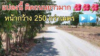 แปลงนี้ติดถนนยาว 250 กว่าเมตร 🌺🌺🌺 19 ไร่กว่า #ยกแปลง 3.65 ล้าน 0983875209 สุพรรณ