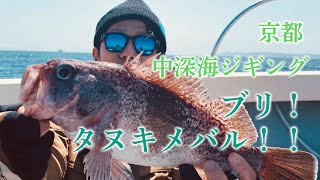 【第26話】京都 中深海ジギング ブリ！タヌキメバル！！【MIYACO FISHING BOY】