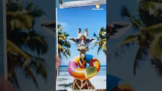 How UV Printing Machine work on Giraffe Photo Jigsaw Puzzle