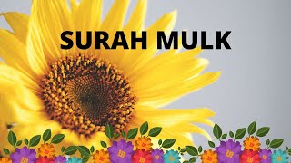 Surah Mulk - 11 TIMES WITH NATURAL VIDEOS