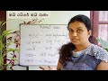 grade 7 sinhala sip savi education 4 පාඩම ඔයි රයිරේ ඔයි රාමා