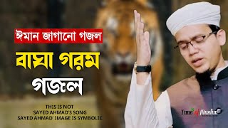 বাঘা গরম গজল | kalarab Ghazal | Islamic song | Gojol | Gazal Bangla | Kolorob Ghazal | Notun Gojol