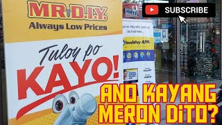 Ano Kayang Mabibili ko sa Mr. DIY? | Mhietze and Hayley vlogs