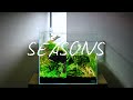 Making a Long Lasting Nano Aquascape - Before the Teardown 4K Cinematic