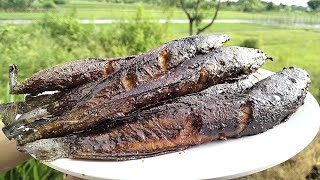 CARA MEMBUAT BUMBU IKAN LELE BAKAR | BUMBU LELE INSTAN TERENAK SIMPLE ANTI RIBET @tutorialmemasak26