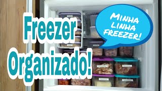 Como organizo meu freezer. Limpeza e arrumação/ linha freezer!