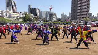 「総踊り♪一天濤快 (10：30~)～♪一天濤快 (11：00~)～♪ずぅっとキラキラ」どまつり夜桜in岡崎2023【多目的広場】