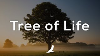 [ 8 HOURS ] PROPHETIC WORSHIP INSTRUMENTAL // TREE OF LIFE // SOAKING WORSHIP