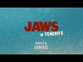 cÁpa tenerifÉn 🦈 jaws in tenerife 🌴🌊