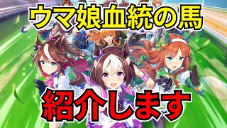 競馬ファンが語る！ ウマ娘から競馬に興味を持った方へオススメするウマ娘血統の現役馬たち9頭!