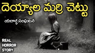 Ghost Tree - Real Horror Story in Telugu | Telugu Stories | Telugu Kathalu | Psbadi | 26/11/2022