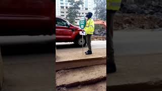 Traffic marshall