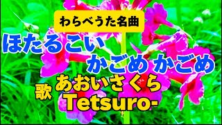 わらべ歌名曲❗️🐤🐢【ほたるこい・かごめかごめ】二重唱〈歌〉あおいさくら・Tetsuro-日本古謡「ほうほう蛍こい~かごめかごめ『HOTARUKOI KAGOME』JAPANESESONG童謡美学®︎