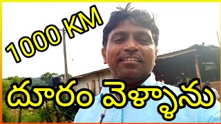 నేను 1000 KM దూరం వెళ్ళాను.. 🤔