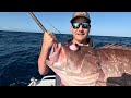 fishing the deep for tasty treats bar cod snapper pearl perch kingfish deep dropping