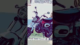 ダックス125 DAX125納車 増車　ホーネット250乗り